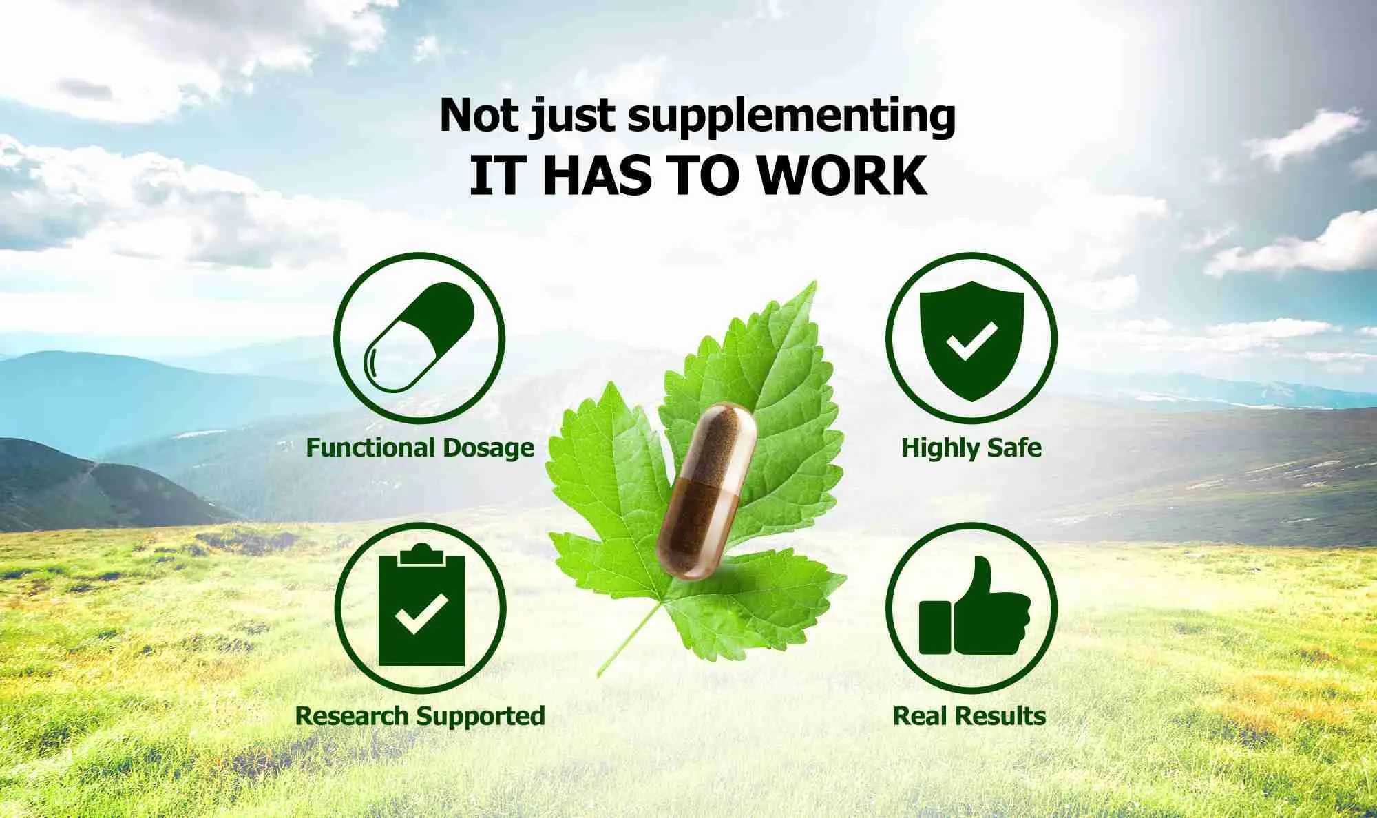 it-has-to-work-banner01 not just supplementing
