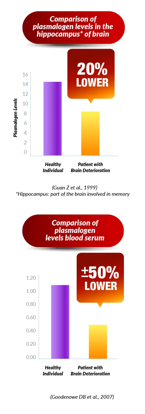 neuroregain-graph-mobile2