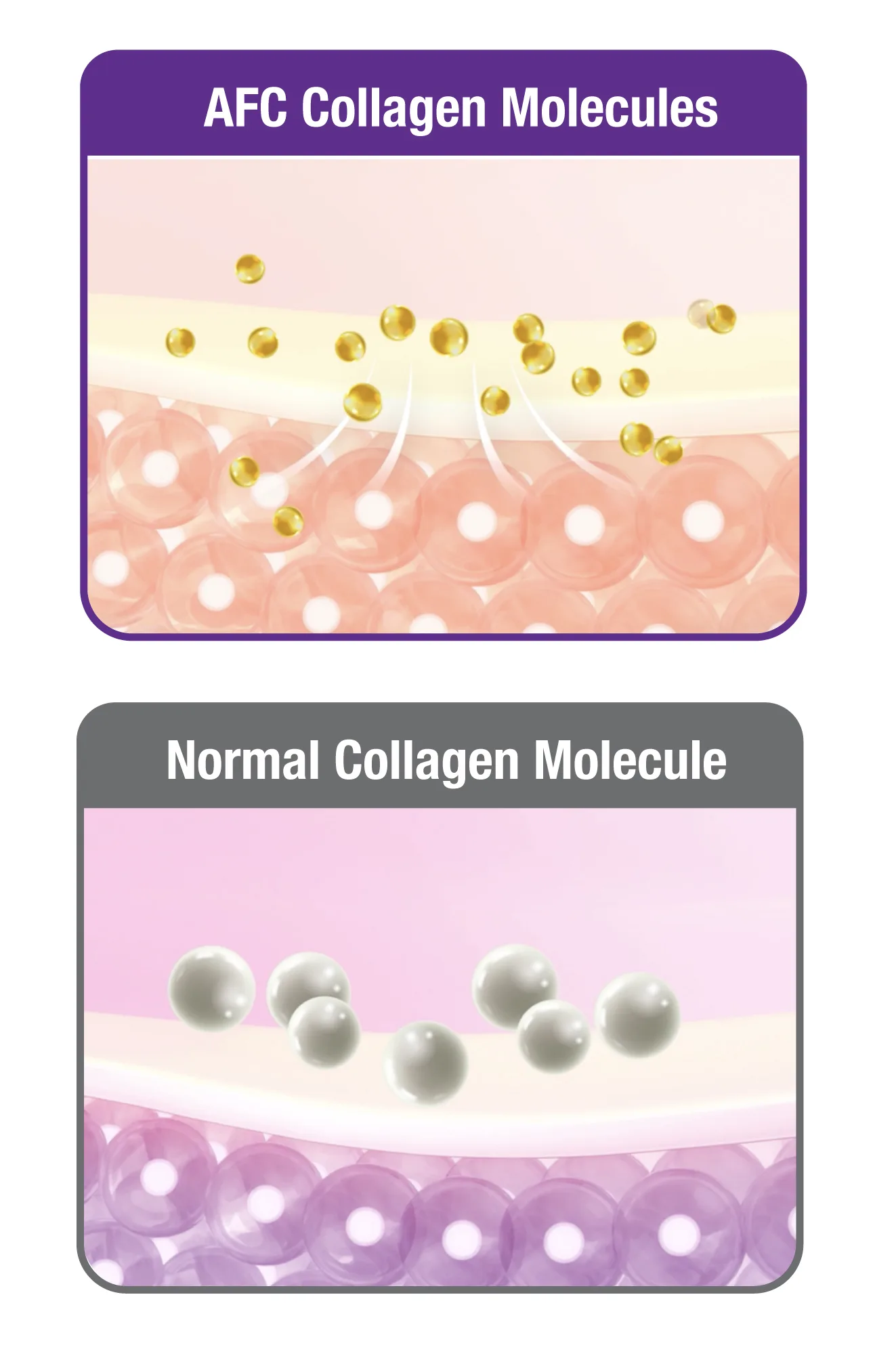 20230926-Collagen beauty-labo domain-mobile-14